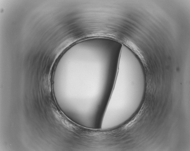 X0000086890892200704161003