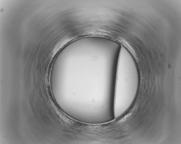 X0000086890893200704161003