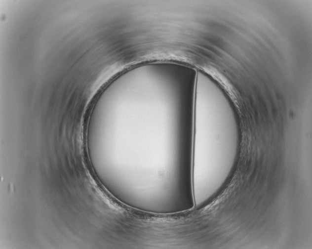 X0000086890894200704161003