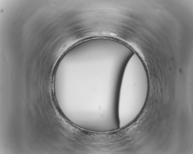 X0000086890895200704161003