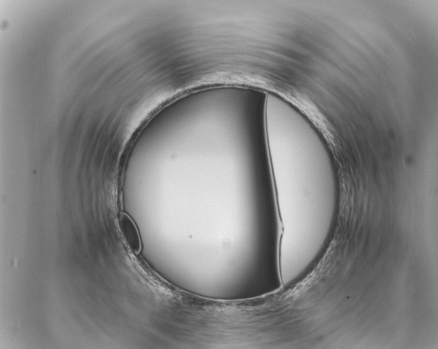 X0000086890896200704161003