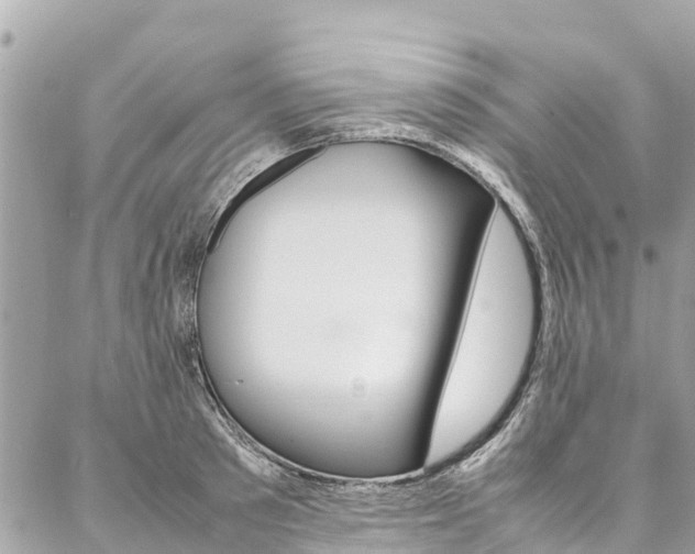 X0000086890897200704161003