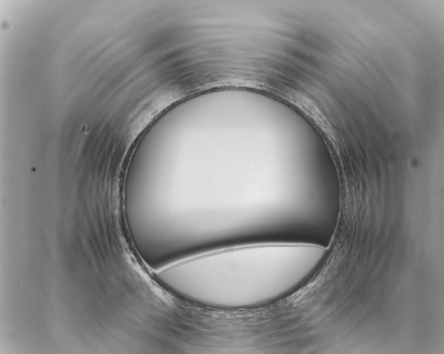 X0000086890898200704161002