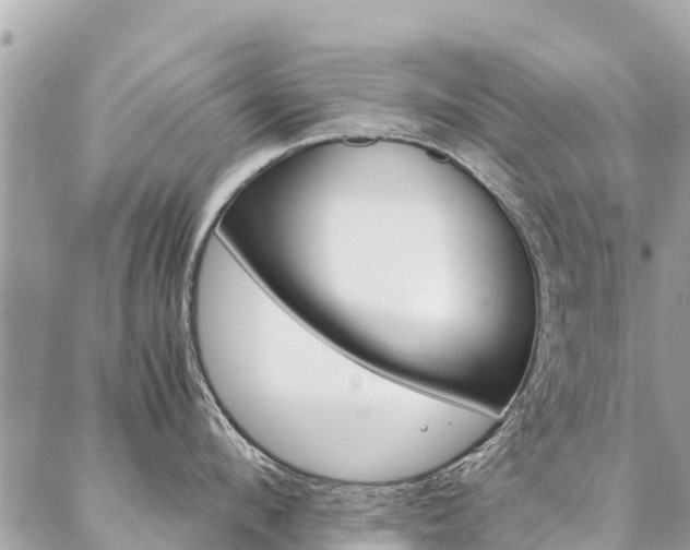 X0000086890912200704161002