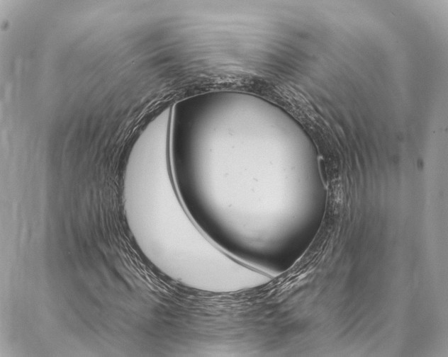 X0000086890916200704161001