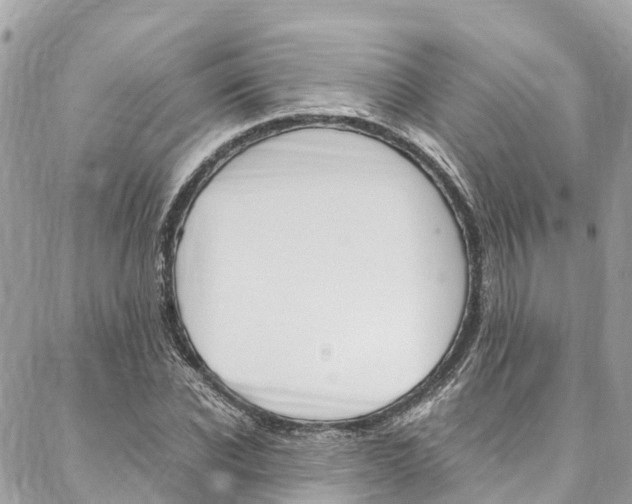 X0000086890926200704161002