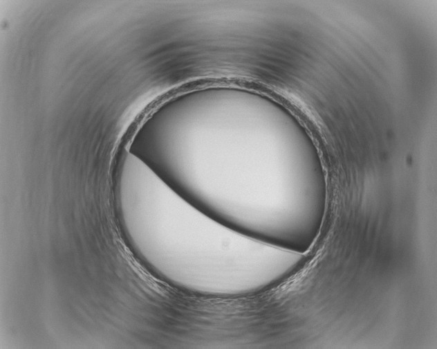 X0000086890927200704161002