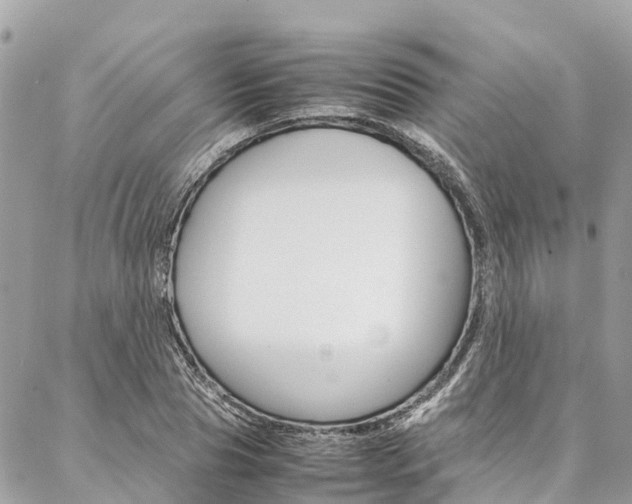 X0000086890929200704161002