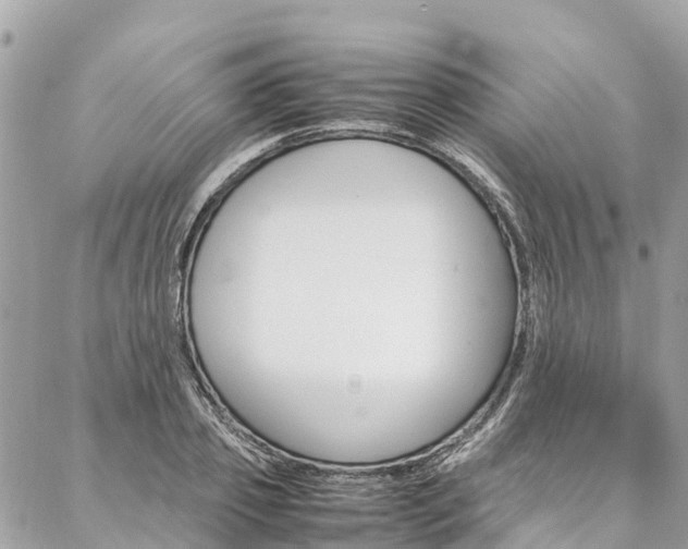 X0000086890933200704161002