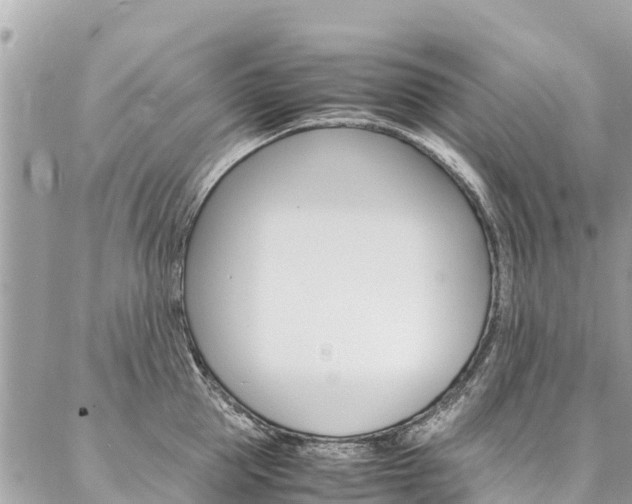 X0000086890953200704161002