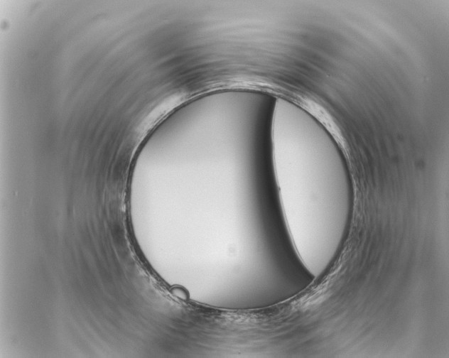 X0000086890954200704161002