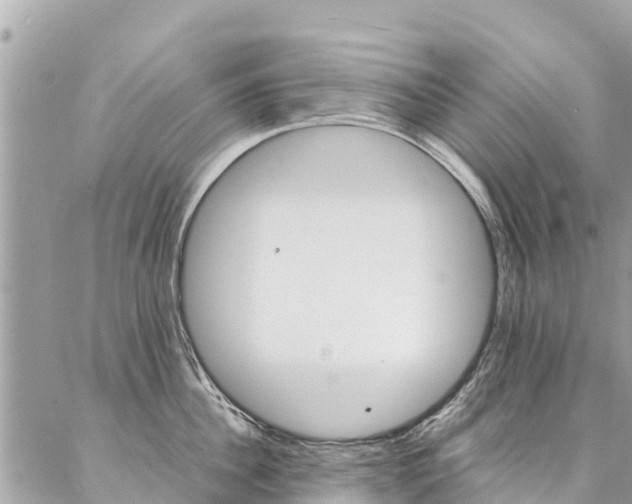 X0000086890956200704161002