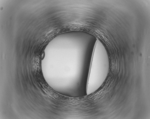 X0000086890964200704161001