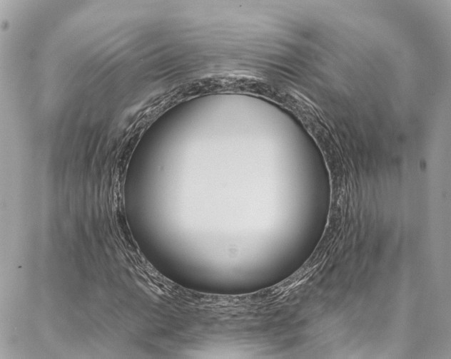 X0000086891014200704161000