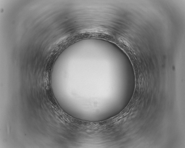 X0000086891062200704161000