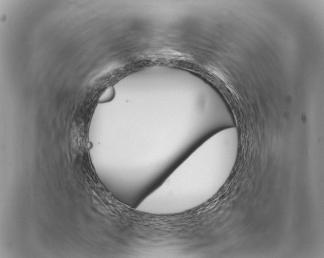 X0000086891063200704161000