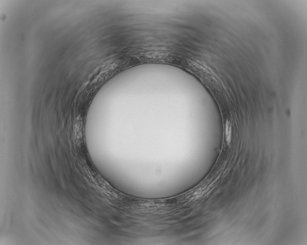 X0000086891107200704160958