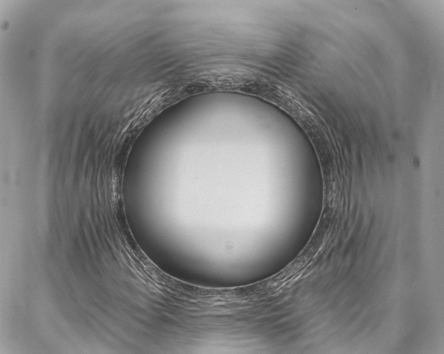 X0000086891108200704160958