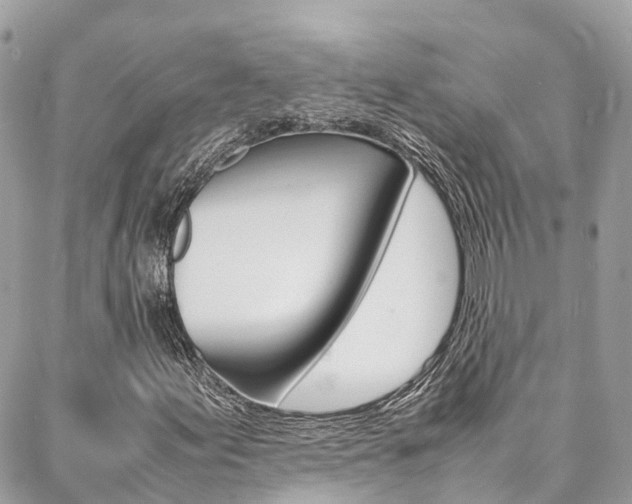 X0000086891155200704160958