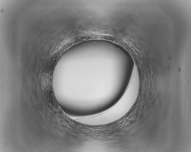 X0000086891157200704160958
