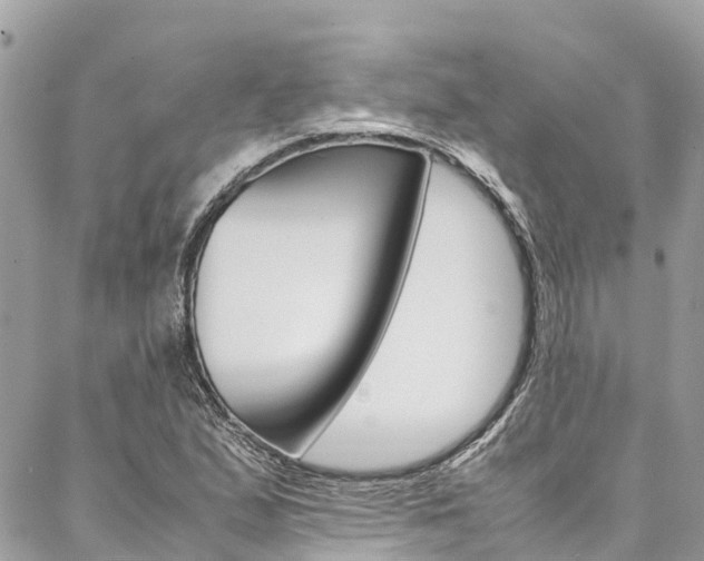 X0000086891167200704160958