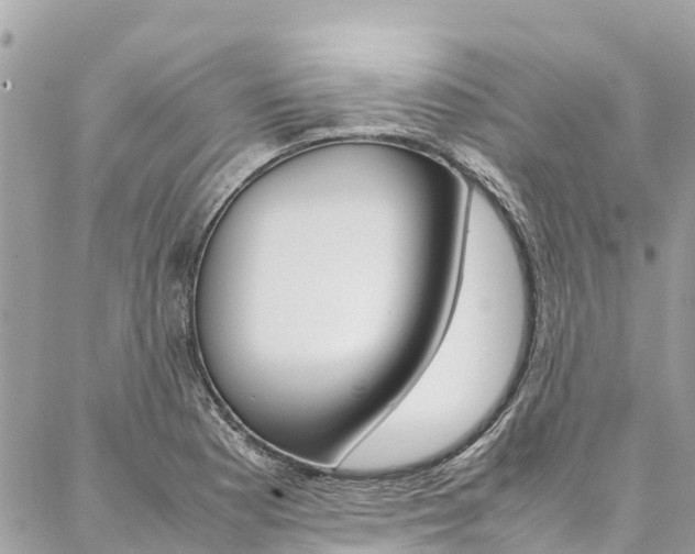 X0000086891177200704160958