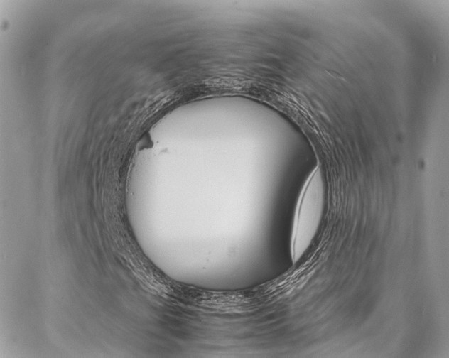 X0000086891201200704160957