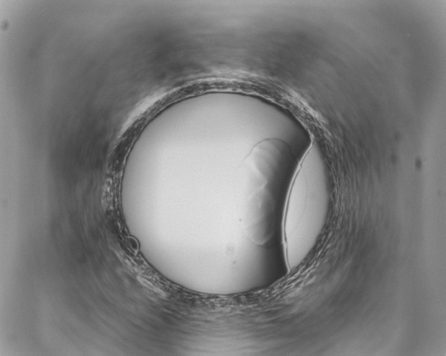 X0000086891208200704160957