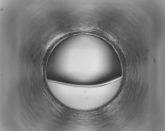 X0000086891214200704160957