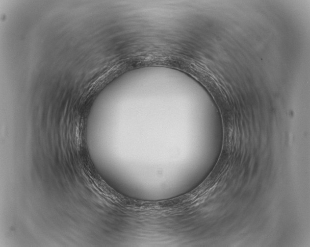 X0000086891250200704160957