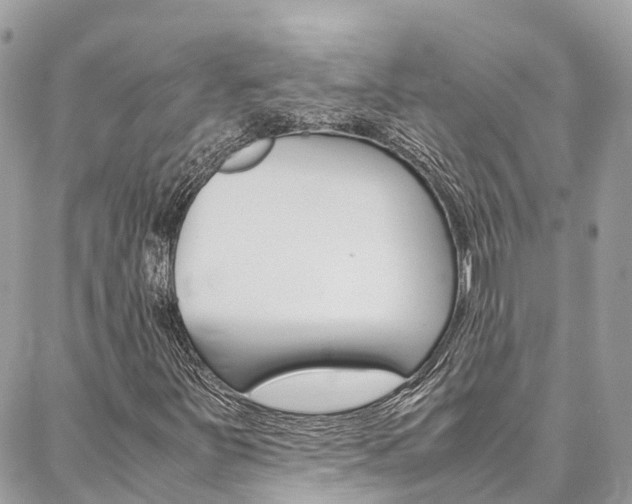 X0000086891251200704160957