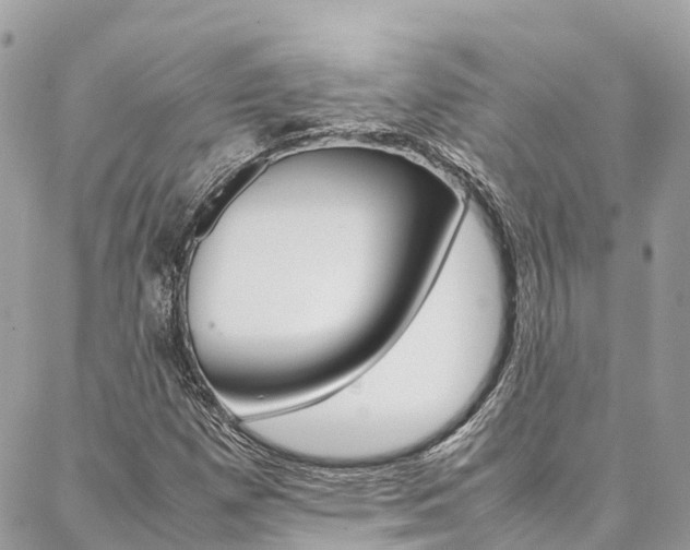 X0000086891257200704160956