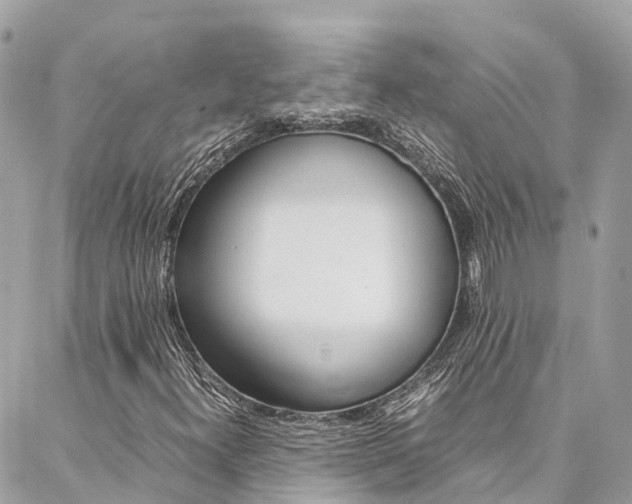 X0000086891300200704160955