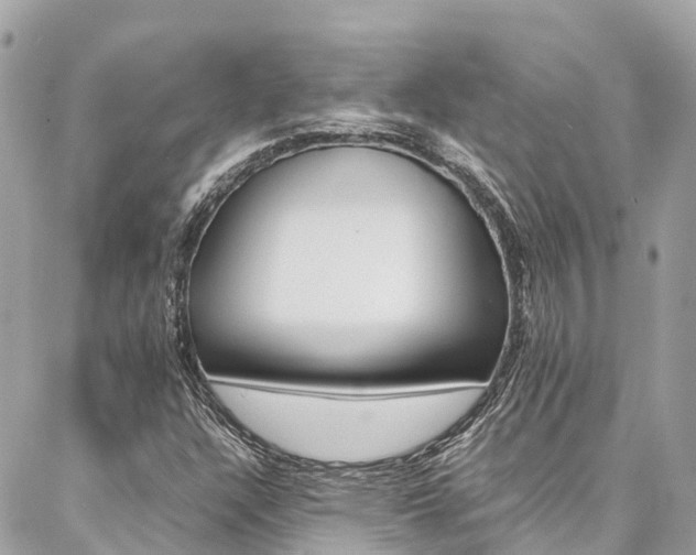 X0000086891304200704160955