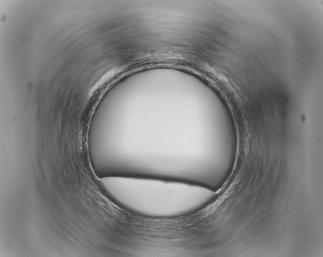 X0000086891306200704160955