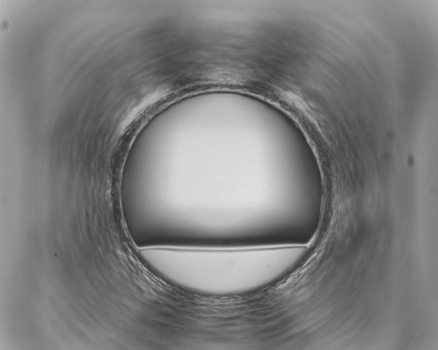 X0000086891307200704160955