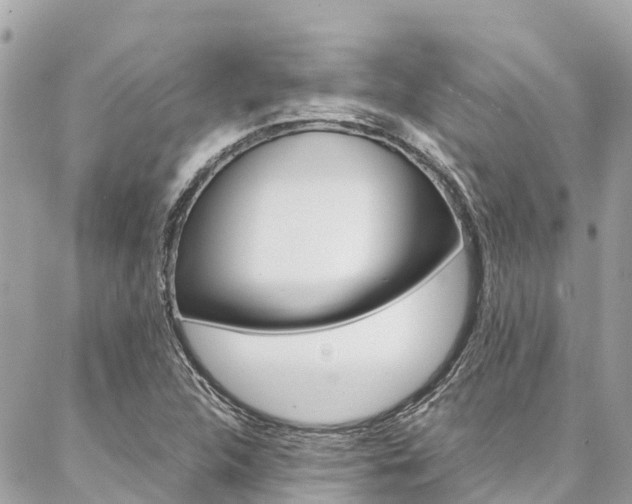 X0000086891312200704160955