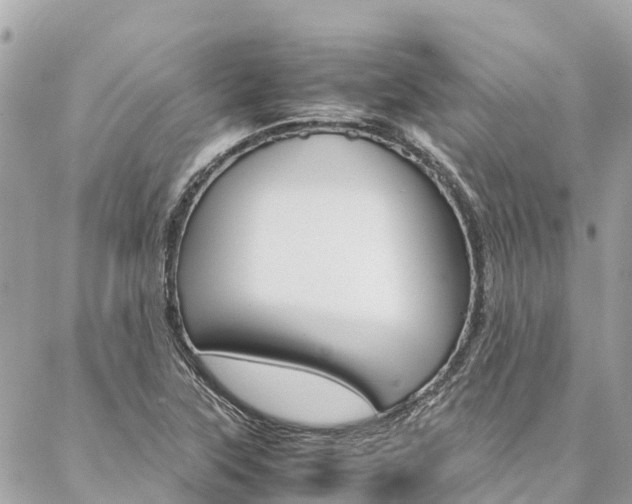 X0000086891315200704160955