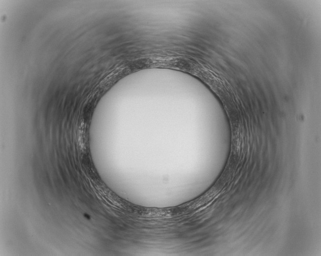 X0000086891346200704160955