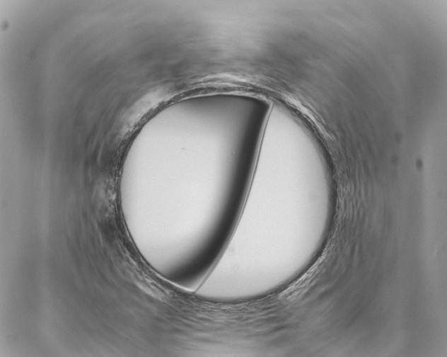 X0000086891355200704160955