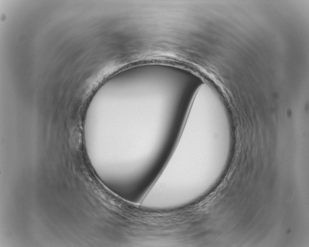 X0000086891363200704160955