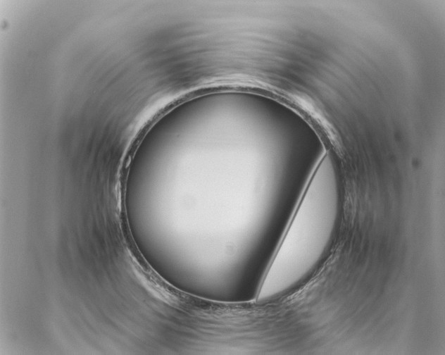 X0000086891372200704160955