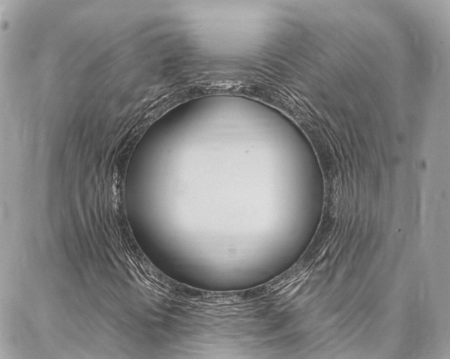 X0000086891394200704160953