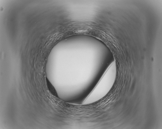 X0000086891441200704160953