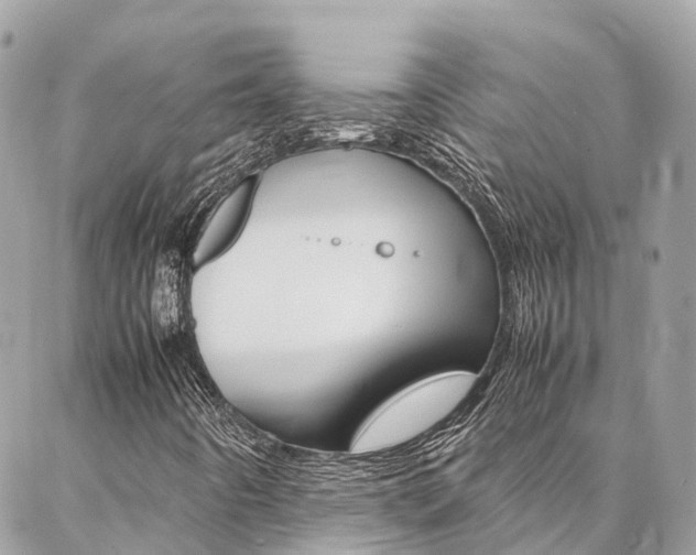 X0000086891442200704160953