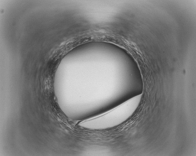 X0000086891445200704160953