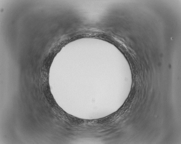 X0000086891447200704160953