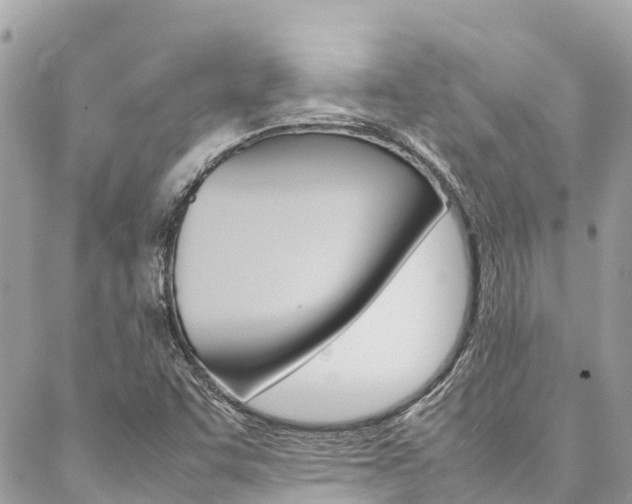 X0000086891455200704160953
