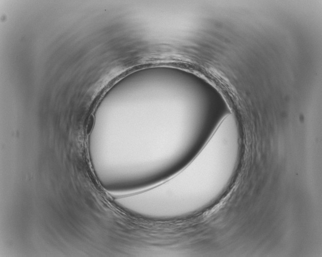 X0000086891457200704160953
