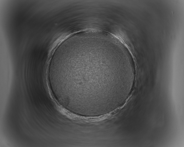 X0000086890001200704161301